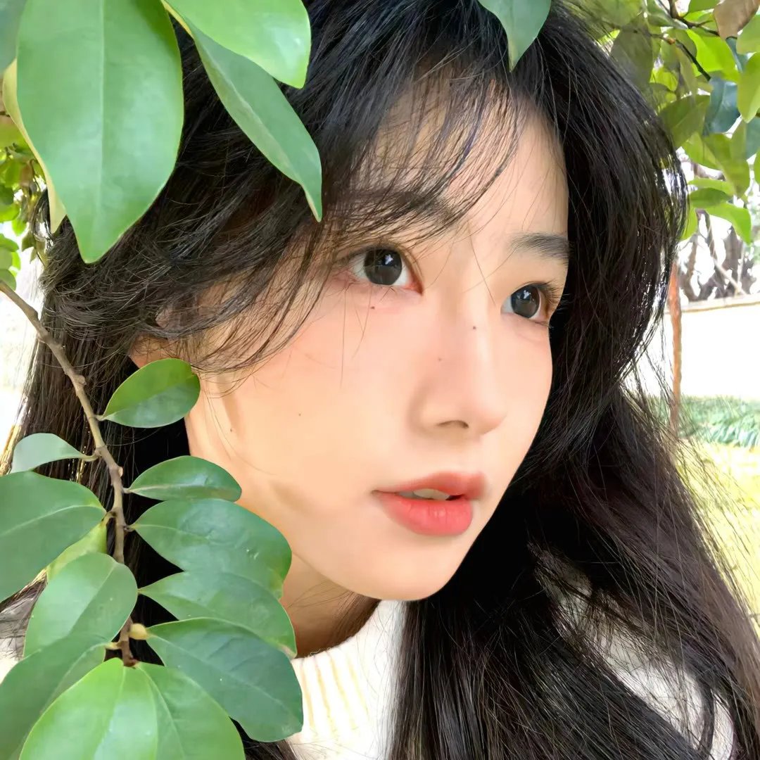 罗密欧方程式