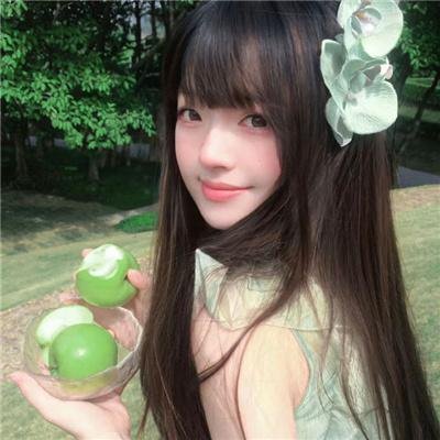 都柏林动物
